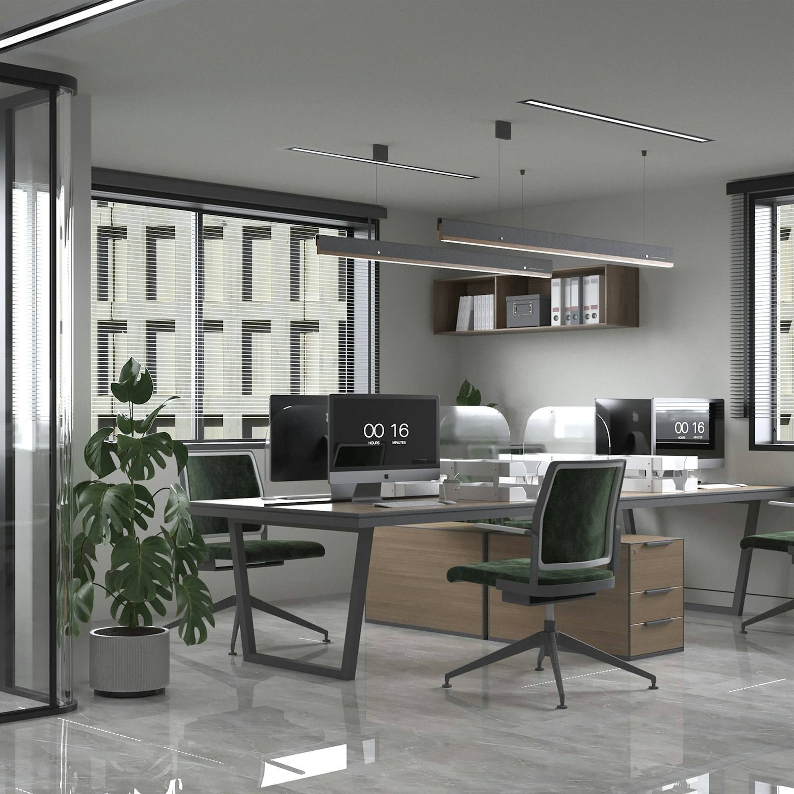 A bright office desk with two monitors and a plant